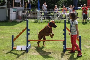 Ferienspiele 2014 in Biedenkopf / Sport mit Hunden